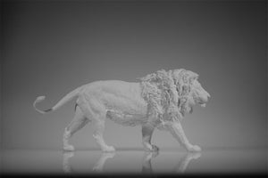 1/10 Male Lion Model