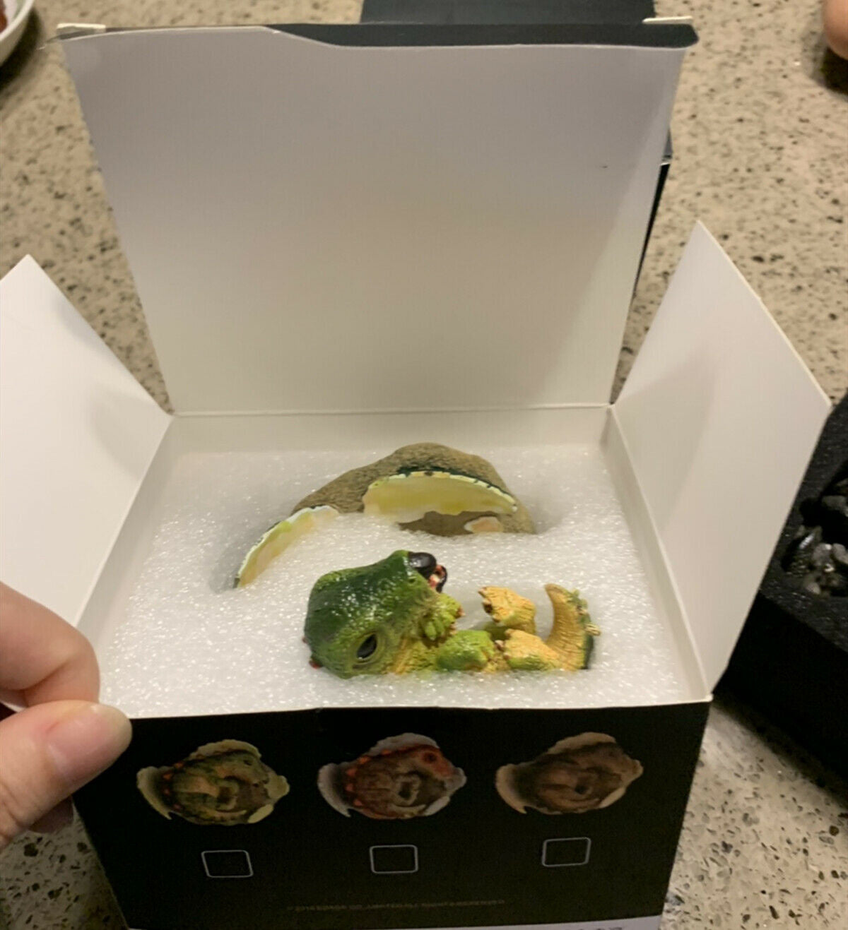 EDAGE Stegosaurus Baby Dinosaur Egg Figure