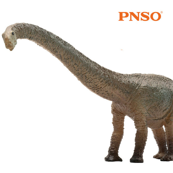 PNSO Mamenchisaurus Figure